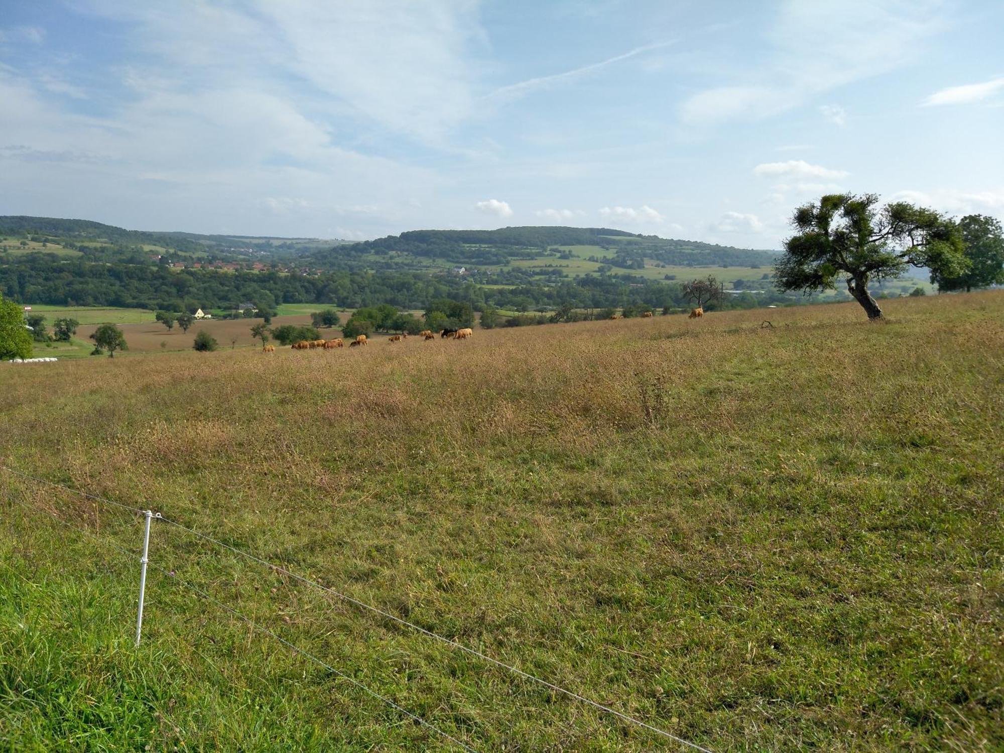 Camping Walsheim Gersheim Εξωτερικό φωτογραφία
